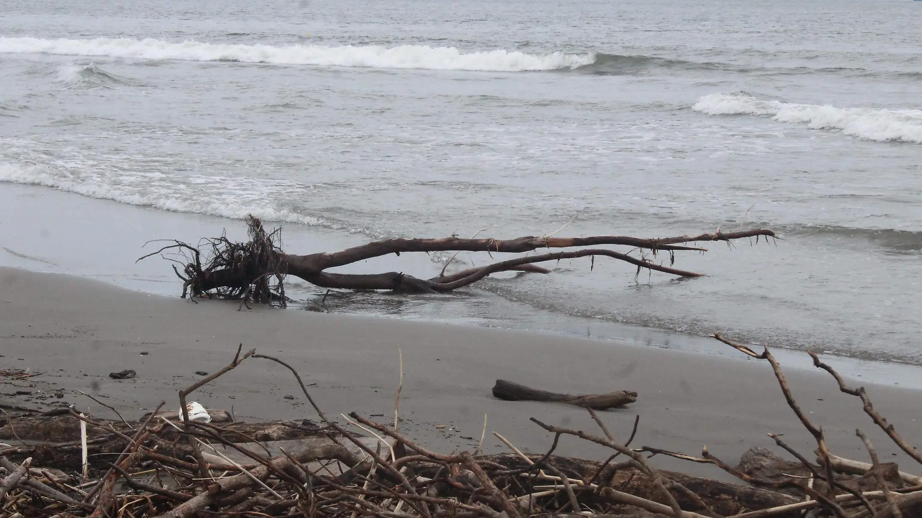 playa palizada 2